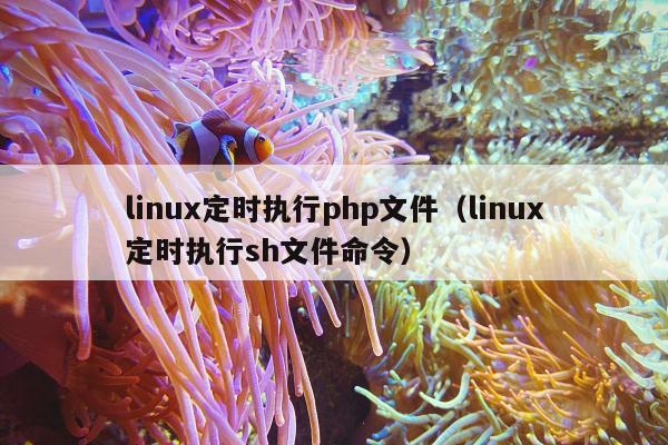 linux定时执行php文件（linux定时执行sh文件命令）