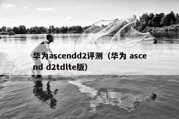 华为ascendd2评测（华为 ascend d2tdlte版）