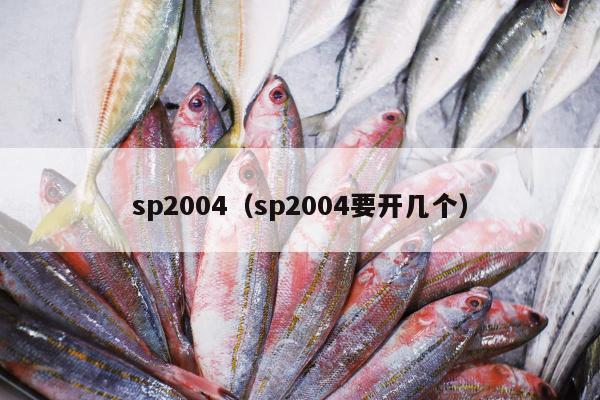 sp2004（sp2004要开几个）