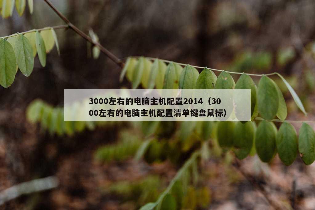 3000左右的电脑主机配置2014（3000左右的电脑主机配置清单键盘鼠标）