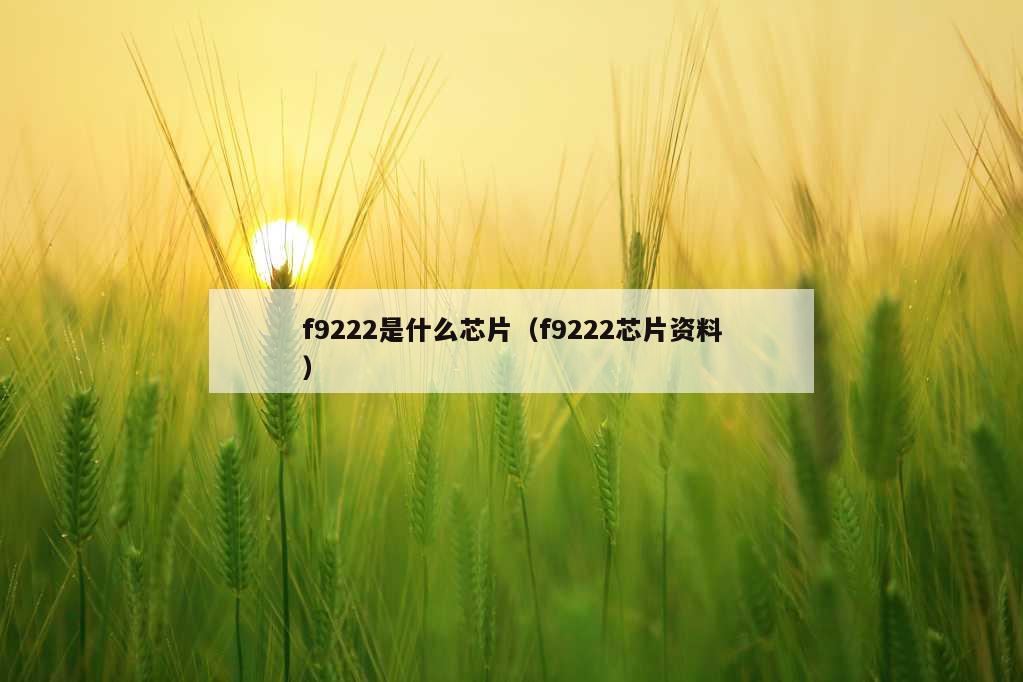 f9222是什么芯片（f9222芯片资料）