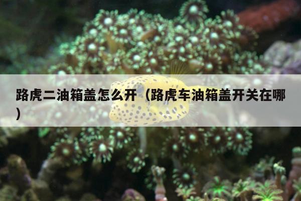 路虎二油箱盖怎么开（路虎车油箱盖开关在哪）