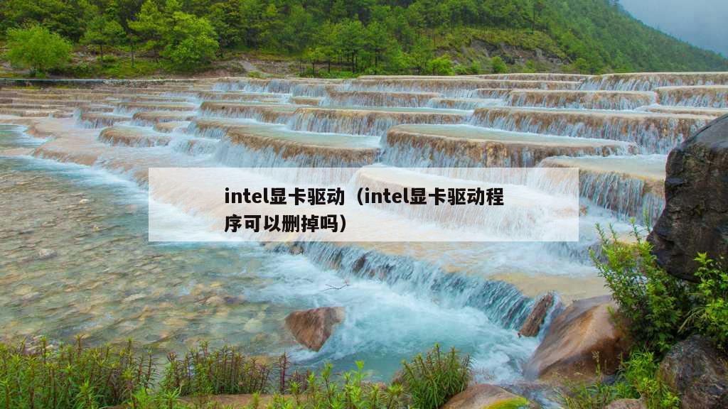 intel显卡驱动（intel显卡驱动程序可以删掉吗）