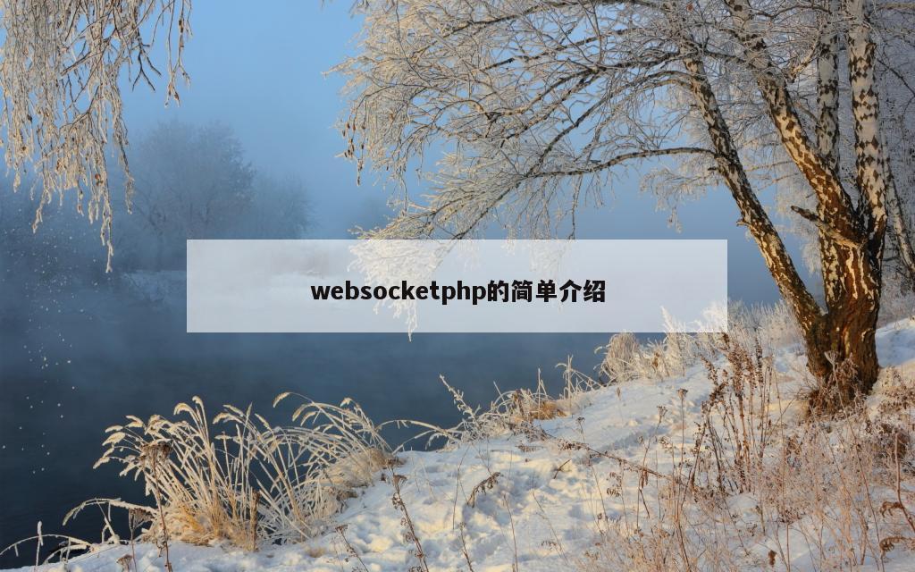 websocketphp的简单介绍