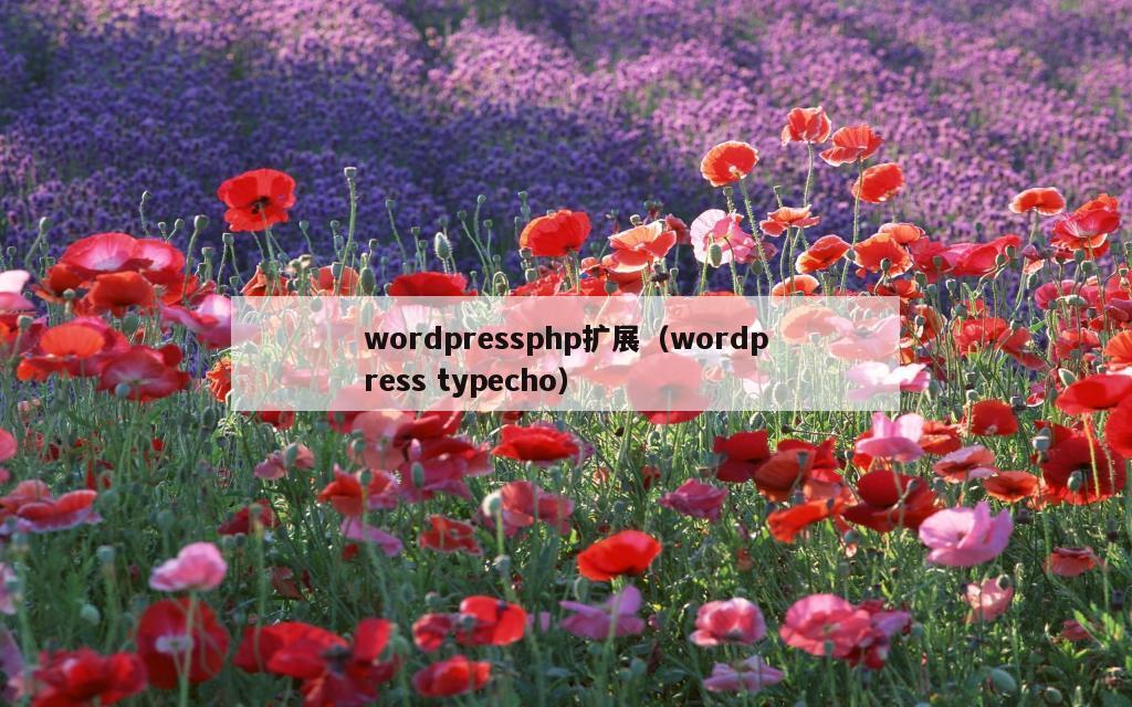 wordpressphp扩展（wordpress typecho）