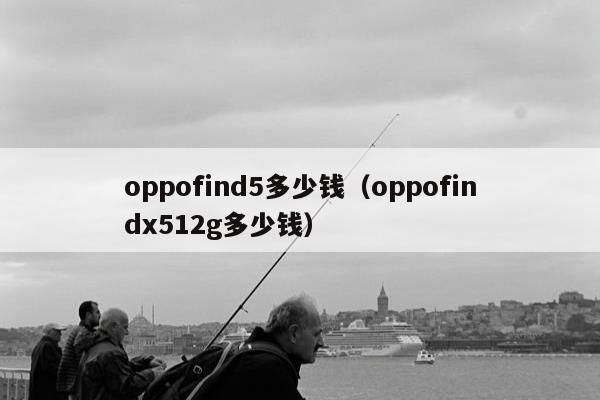 oppofind5多少钱（oppofindx512g多少钱）