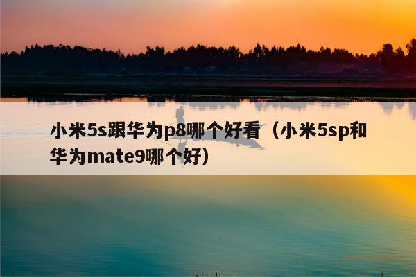 小米5s跟华为p8哪个好看（小米5sp和华为mate9哪个好）