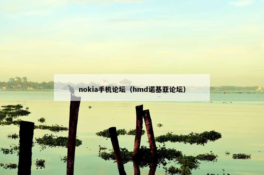 nokia手机论坛（hmd诺基亚论坛）