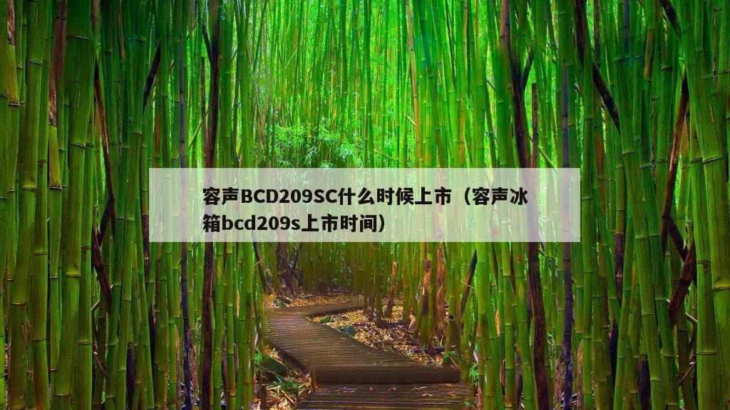 容声BCD209SC什么时候上市（容声冰箱bcd209s上市时间）