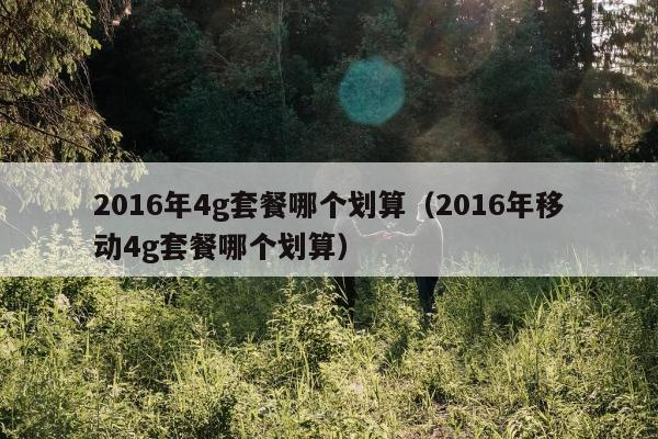 2016年4g套餐哪个划算（2016年移动4g套餐哪个划算）