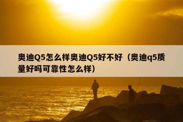 奥迪Q5怎么样奥迪Q5好不好（奥迪q5质量好吗可靠性怎么样）