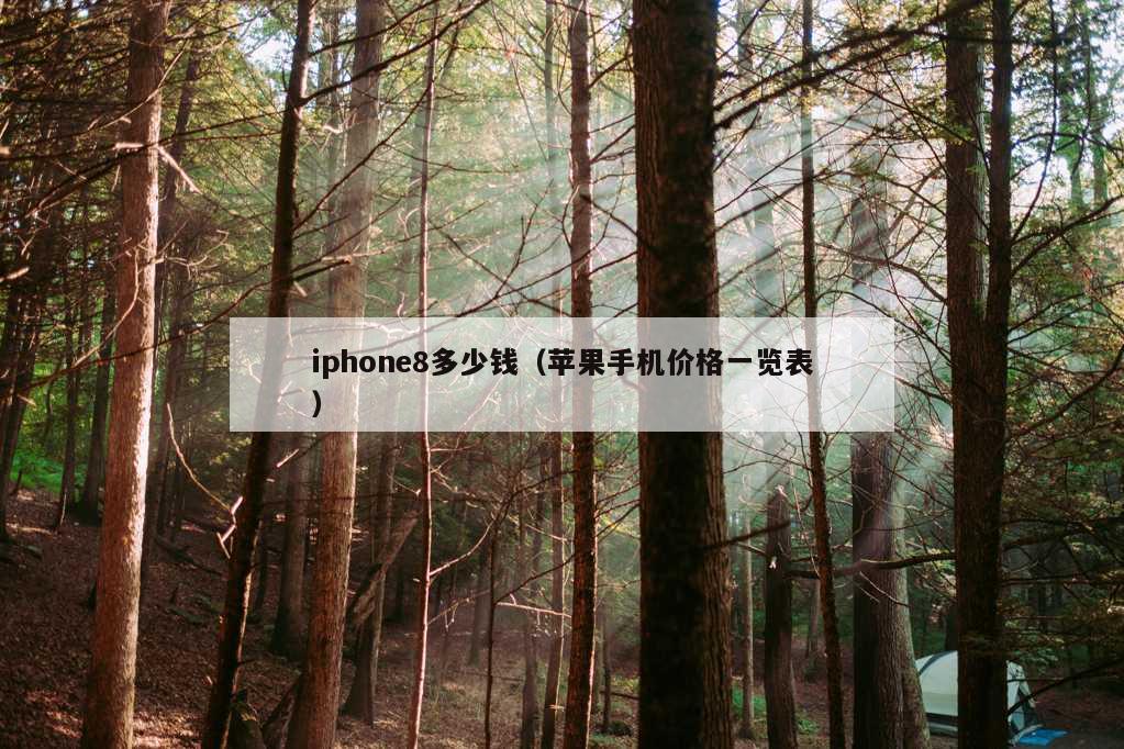 iphone8多少钱（苹果手机价格一览表）