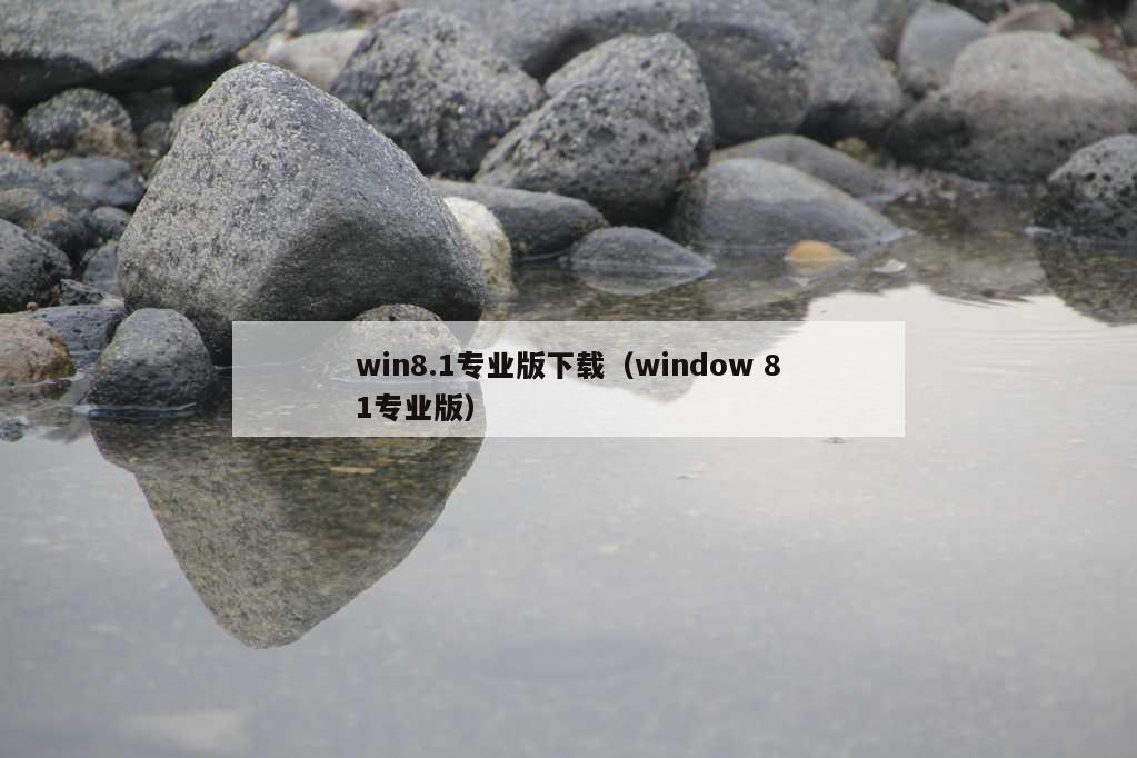 win8.1专业版下载（window 81专业版）