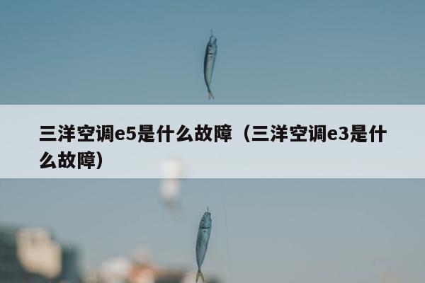 三洋空调e5是什么故障（三洋空调e3是什么故障）