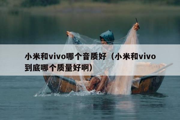 小米和vivo哪个音质好（小米和vivo到底哪个质量好啊）