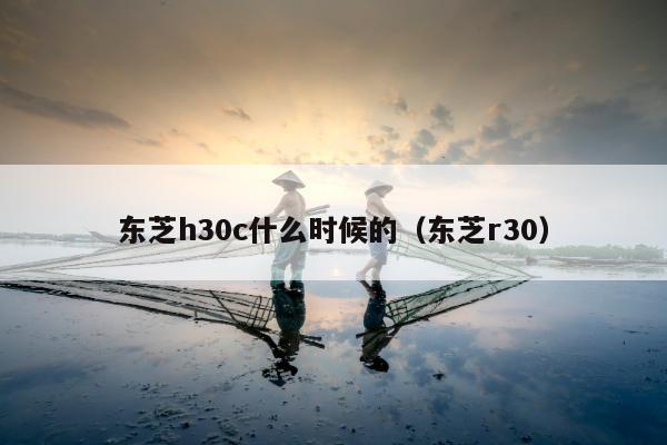 东芝h30c什么时候的（东芝r30）