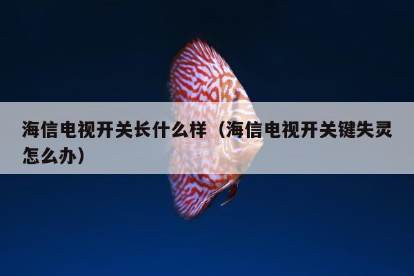 海信电视开关长什么样（海信电视开关键失灵怎么办）