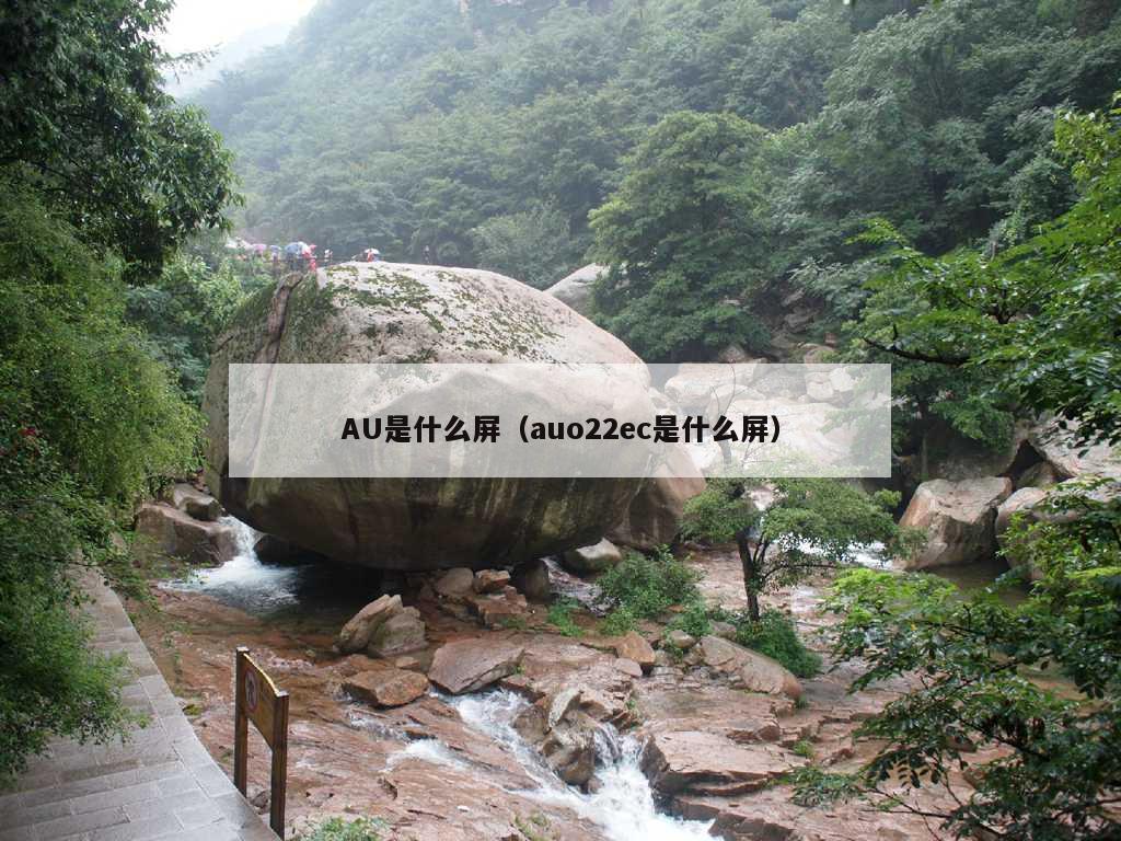 AU是什么屏（auo22ec是什么屏）