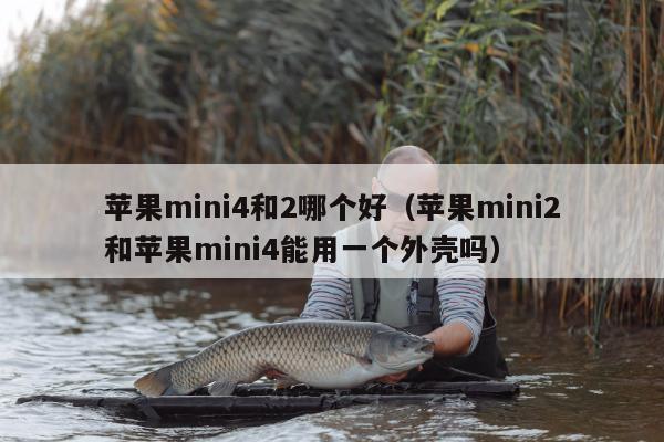 苹果mini4和2哪个好（苹果mini2和苹果mini4能用一个外壳吗）