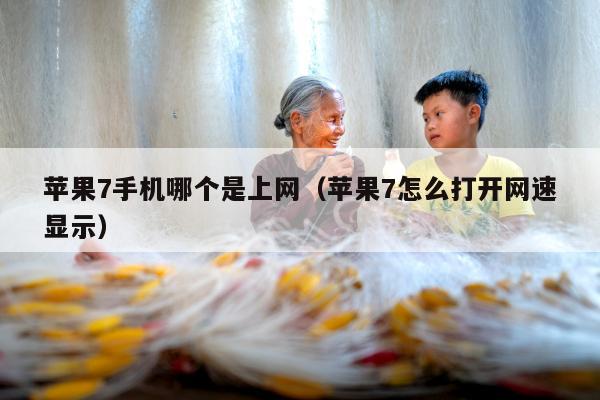 苹果7手机哪个是上网（苹果7怎么打开网速显示）