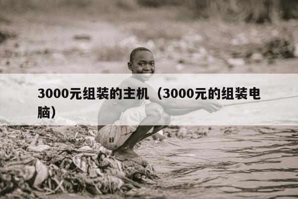 3000元组装的主机（3000元的组装电脑）