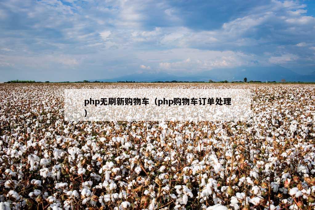 php无刷新购物车（php购物车订单处理）