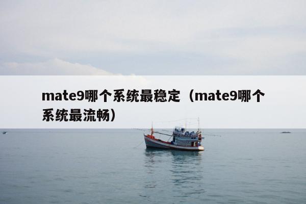 mate9哪个系统最稳定（mate9哪个系统最流畅）