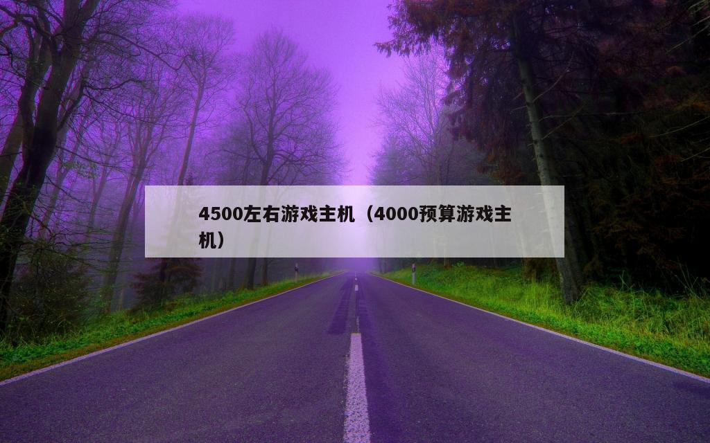 4500左右游戏主机（4000预算游戏主机）