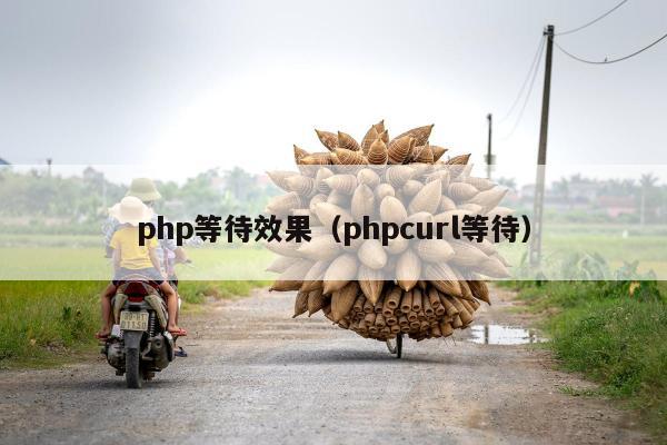 php等待效果（phpcurl等待）