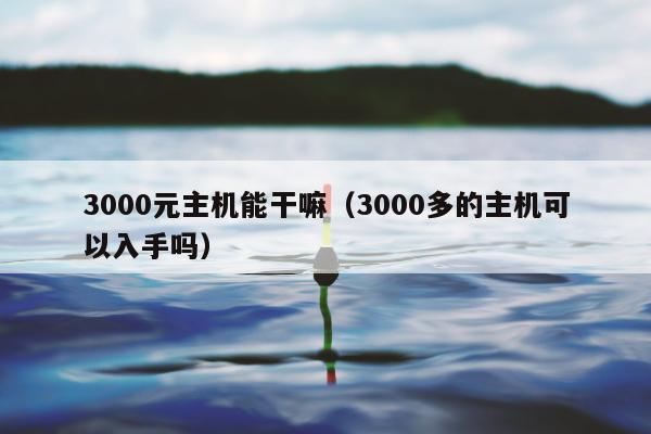 3000元主机能干嘛（3000多的主机可以入手吗）