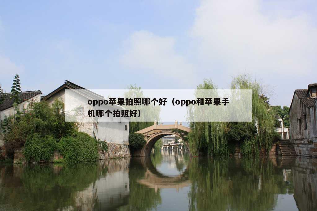 oppo苹果拍照哪个好（oppo和苹果手机哪个拍照好）