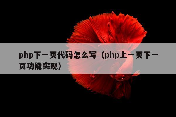 php下一页代码怎么写（php上一页下一页功能实现）