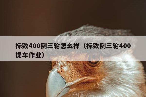 标致400倒三轮怎么样（标致倒三轮400提车作业）