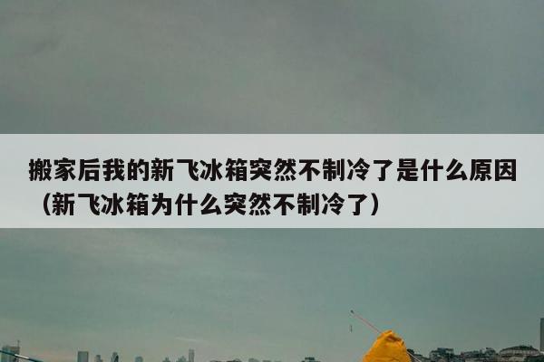 搬家后我的新飞冰箱突然不制冷了是什么原因（新飞冰箱为什么突然不制冷了）