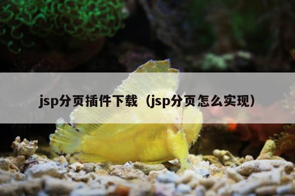 jsp分页插件下载（jsp分页怎么实现）