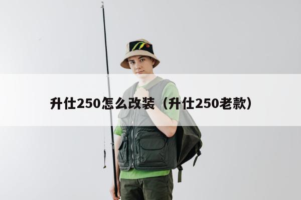 升仕250怎么改装（升仕250老款）