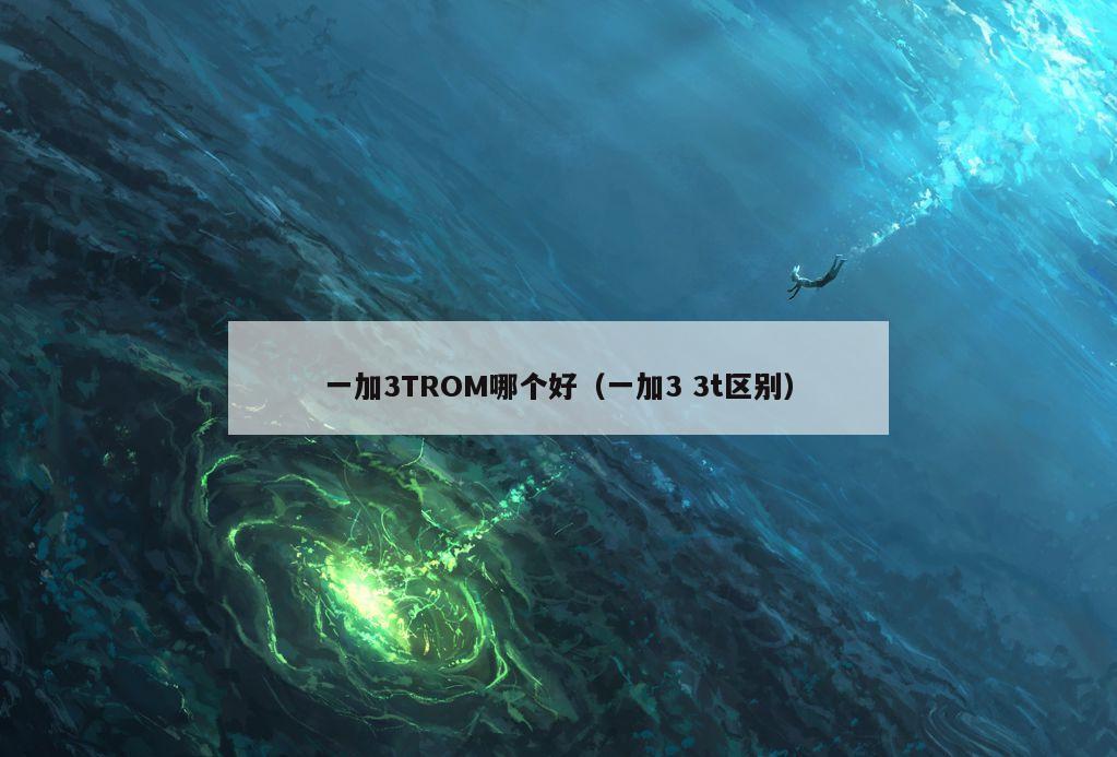 一加3TROM哪个好（一加3 3t区别）