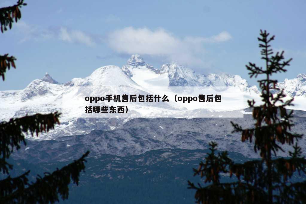 oppo手机售后包括什么（oppo售后包括哪些东西）