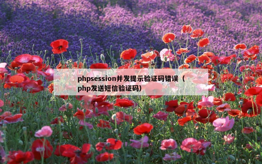 phpsession并发提示验证码错误（php发送短信验证码）