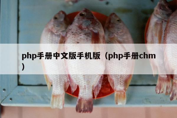 php手册中文版手机版（php手册chm）