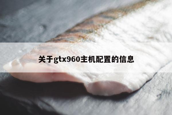 关于gtx960主机配置的信息