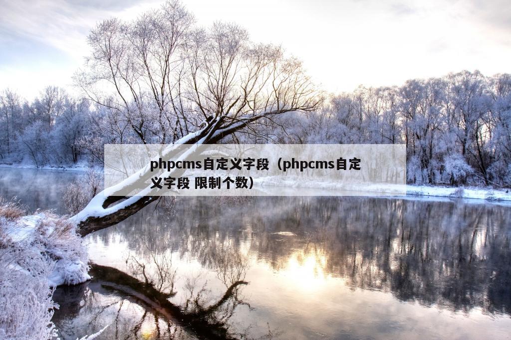 phpcms自定义字段（phpcms自定义字段 限制个数）