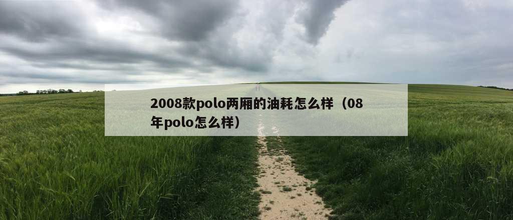 2008款polo两厢的油耗怎么样（08年polo怎么样）