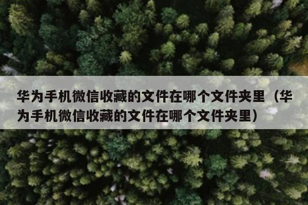 华为手机微信收藏的文件在哪个文件夹里（华为手机微信收藏的文件在哪个文件夹里）