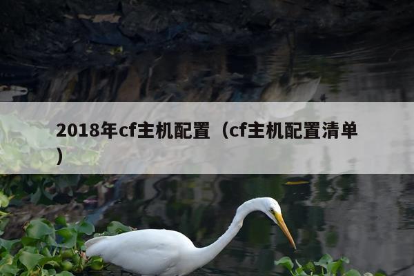 2018年cf主机配置（cf主机配置清单）