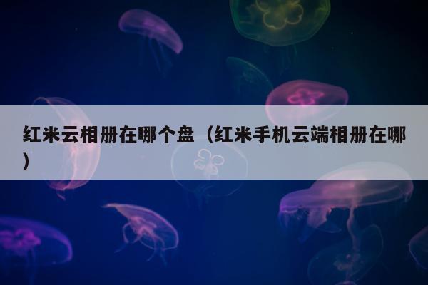 红米云相册在哪个盘（红米手机云端相册在哪）