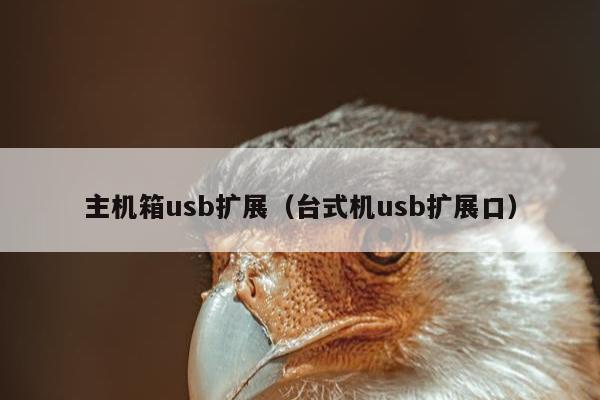 主机箱usb扩展（台式机usb扩展口）