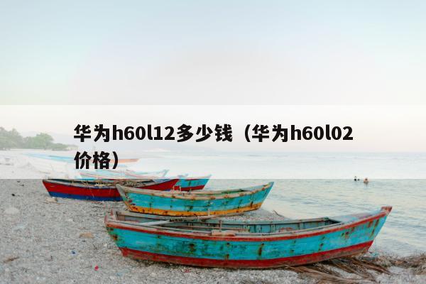 华为h60l12多少钱（华为h60l02价格）