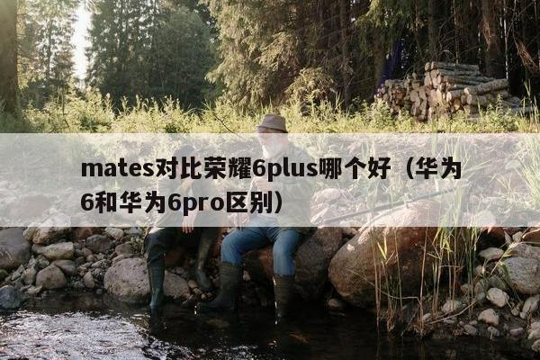 mates对比荣耀6plus哪个好（华为6和华为6pro区别）