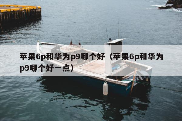 苹果6p和华为p9哪个好（苹果6p和华为p9哪个好一点）